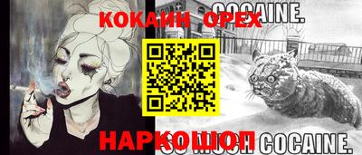 дурь Кингисепп
