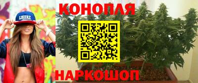 a pvp Кимры