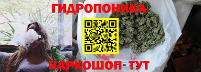 a pvp Кимры