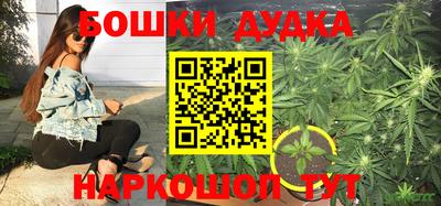 дурь Кингисепп