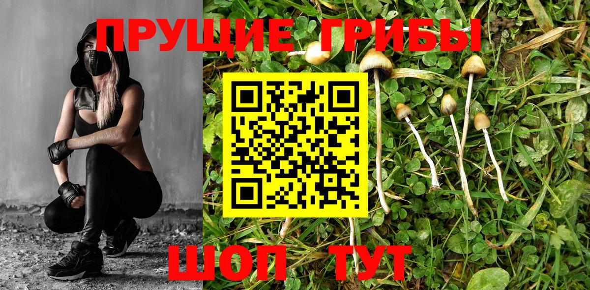 Псилоцибиновые грибы MAGIC MUSHROOMS  Вход с VPN  Липецк 