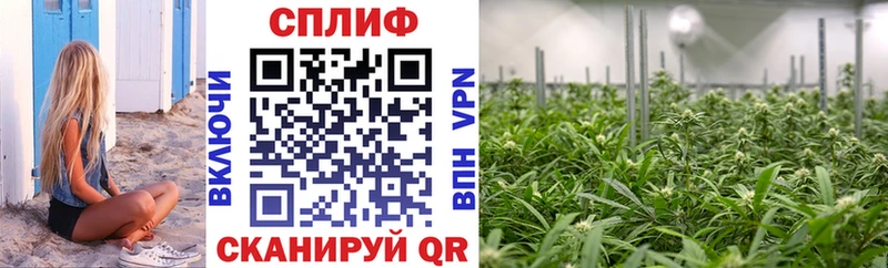 Конопля семена  kraken зеркало  Липецк 